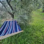Terry Tatil Evi Vieste