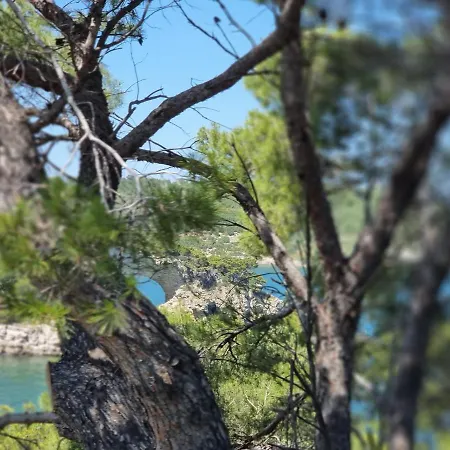 Tatil Evi Terry *
