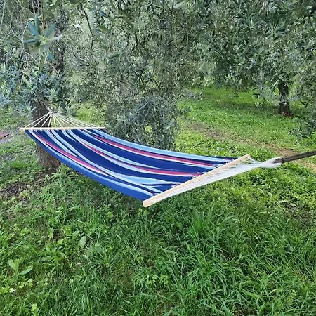 Сasa de vacaciones Terry *