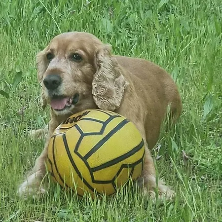 Terry Сasa de vacaciones *